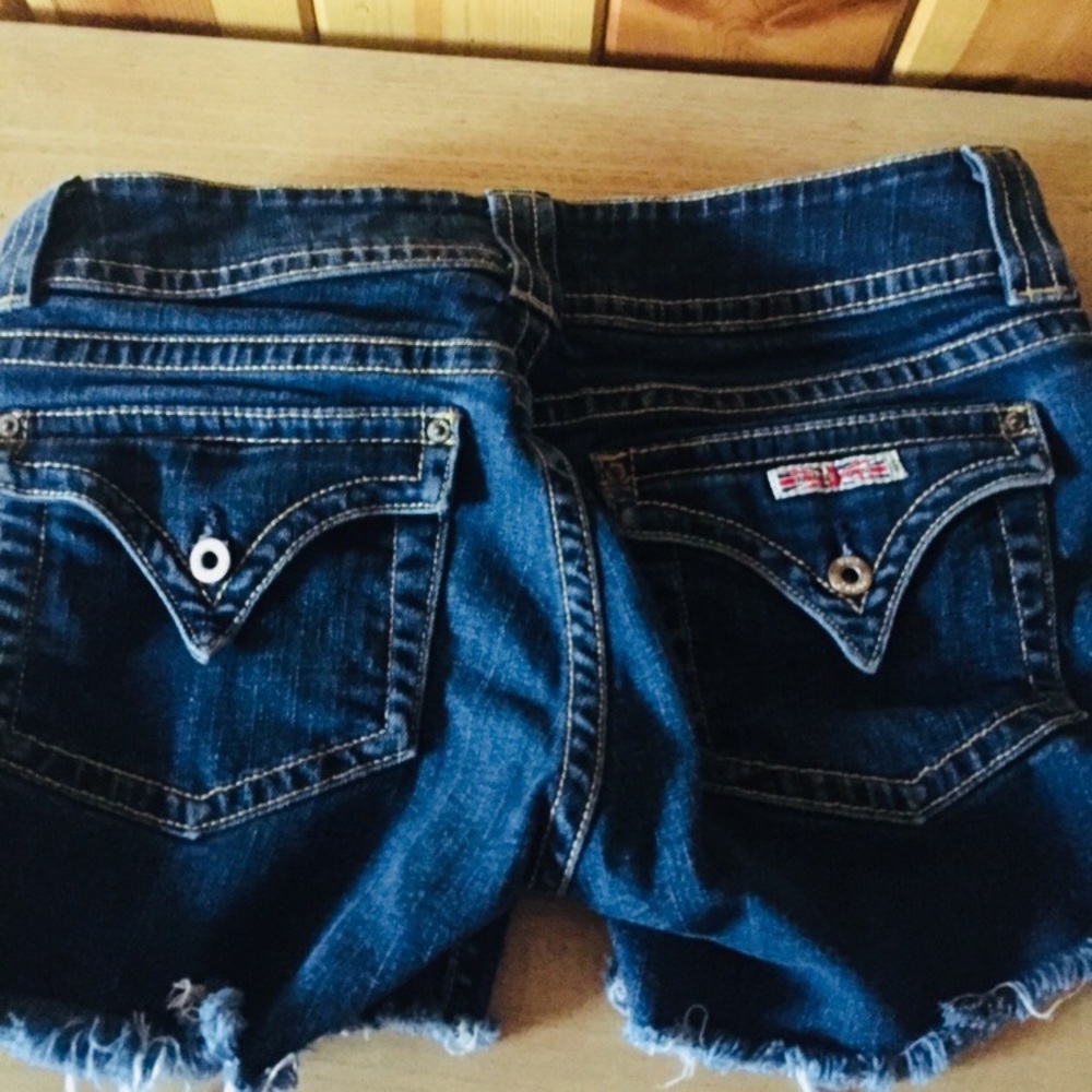 Hudson shorts size 29